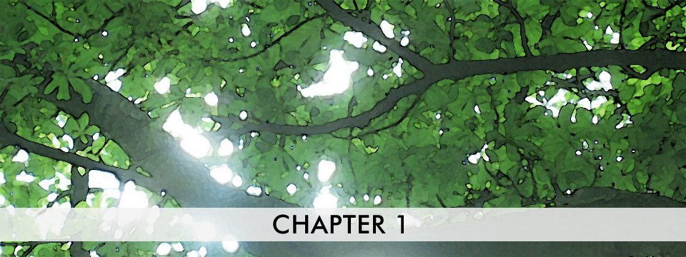 Chapter 1